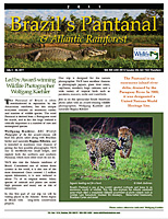 pantanal thumb